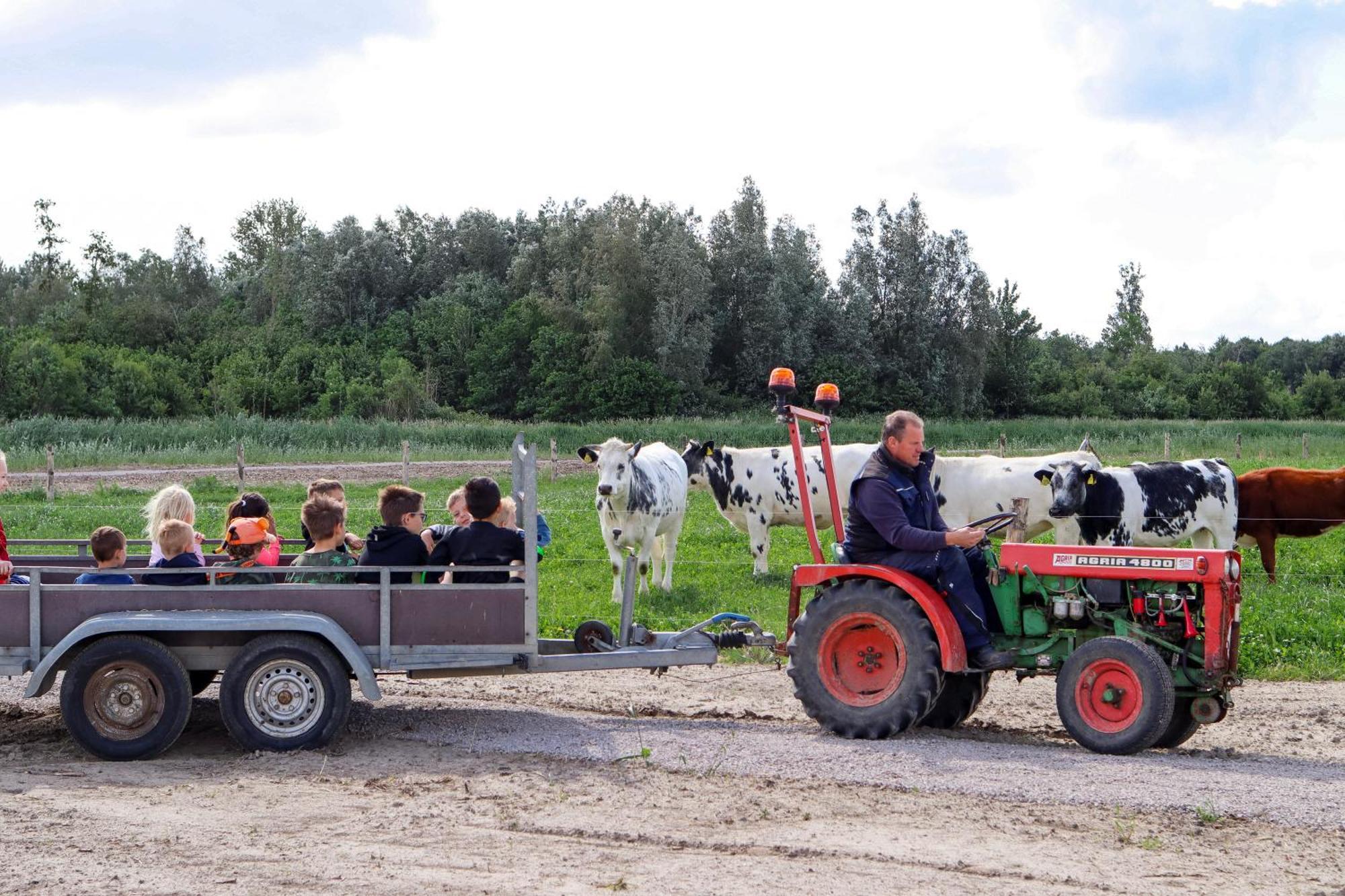 Boerderijcamping De Hinde Dronten Ngoại thất bức ảnh